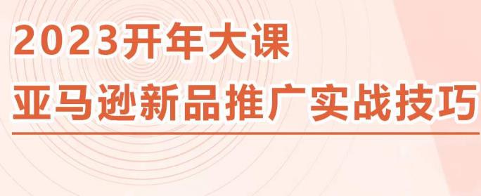 2023亚马逊新品推广实战技巧，线下百万美金课程的精简版，简单粗暴可复制，实操性强的推广手段-86资源库