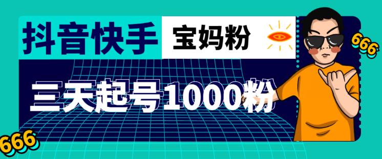 抖音快手三天起号涨粉1000宝妈粉丝的核心方法【详细玩法教程】-86资源库