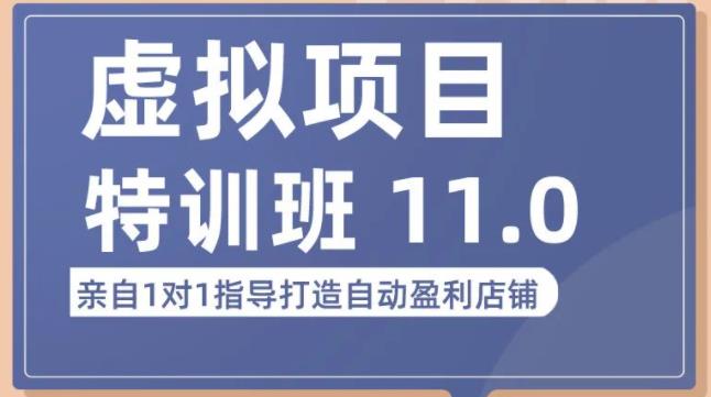 陆明明·虚拟项目特训班（10.0+11.0），0成本获取虚拟素材，0基础打造自动盈利店铺-86资源库