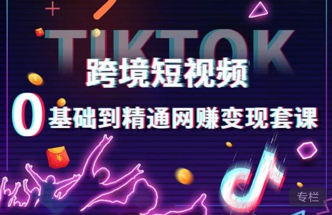 跨境短视频TIKTOK 0基础到精通网赚变现套课，跨境短视频独立站带货变现技巧-86资源库