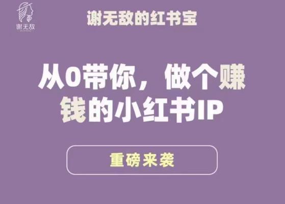 谢无敌·小红书运营大宝典，从0带你做个赚钱的小红书IP-86资源库
