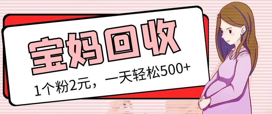 最新宝妈粉回收变现计划及胎教音乐高端变现玩法全套教程！（非老玩法）-86资源库
