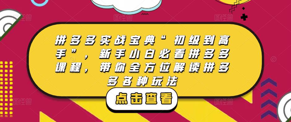 拼多多实战宝典“初级到高手”，新手小白必看拼多多课程，带你全方位解读拼多多各种玩法-86资源库