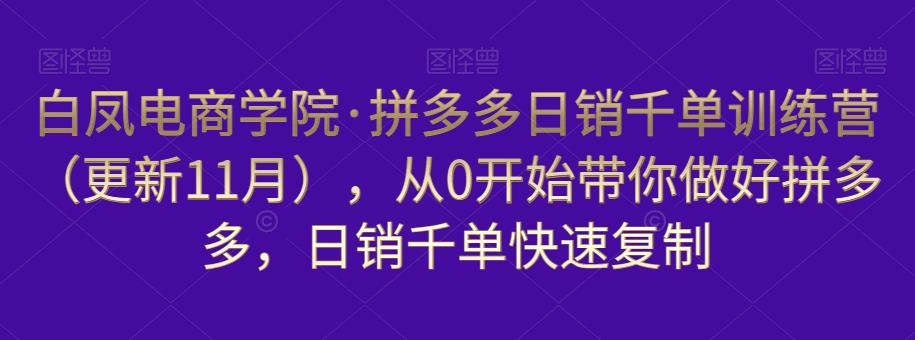 白凤电商学院·拼多多日销千单训练营，从0开始带你做好拼多多，日销千单快速复制（更新知2023年3月）-86资源库