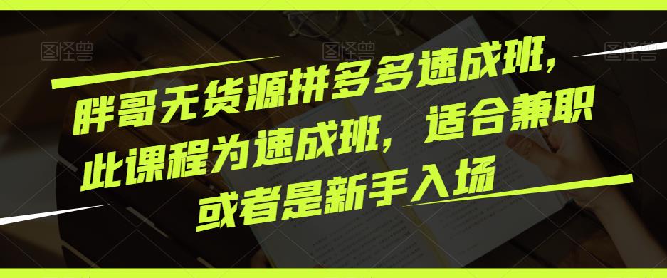 胖哥无货源拼多多速成班，此课程为速成班，适合兼职或者是新手入场-86资源库