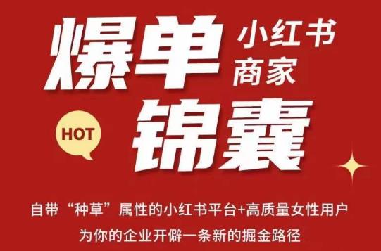 无畏·小红书商家爆单锦囊，掌握小红书各大规则，快速精准抢占行业和市场-86资源库