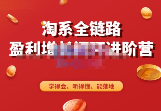 淘系全链路盈利增长闭环进阶营，融合全店动销，学得会、听得懂、能落地！-86资源库