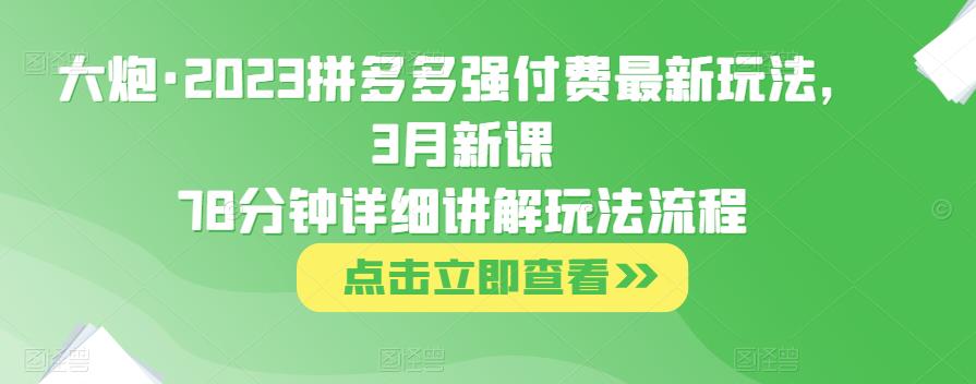 大炮·2023拼多多强付费最新玩法，3月新课​78分钟详细讲解玩法流程-86资源库