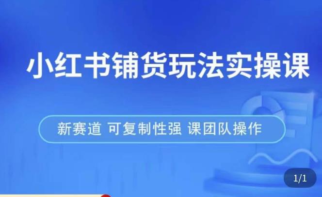 小红书铺货玩法实操课，流量大，竞争小，非常好做，新赛道，可复制性强，可团队操作-86资源库