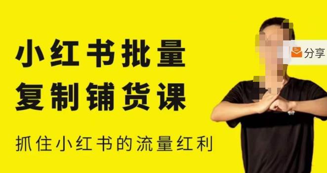 张宾·小红书批量复制铺货课，小红书0-1快速起号变现玩法，抓住小红书的流量红利（更新2023年3月）-86资源库