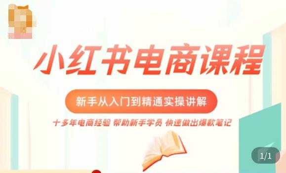 小红书电商新手入门到精通实操课，从入门到精通做爆款笔记，开店运营-86资源库