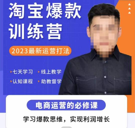 爱上黄昏·淘宝爆款训练营，2023最新运营打法，学习爆款思维，实现利润增长-86资源库