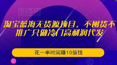 淘宝蓝海无货源项目，不囤货不推广只做冷门高利润代发，花一半时间赚10倍钱-86资源库