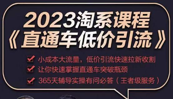 2023直通车低价引流玩法课程，小成本大流量，低价引流快速拉新收割，让你快速掌握直通车突破瓶颈-86资源库