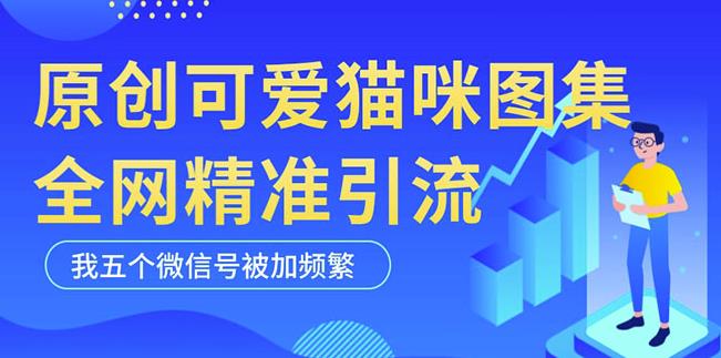 黑科技纯原创可爱猫咪图片，全网精准引流，实操5个VX号被加频繁-86资源库