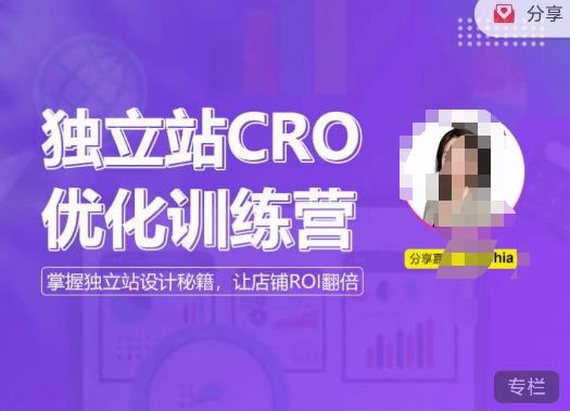 独立站CRO优化训练营，掌握独立站设计秘籍，打造高转化的独立站，让店铺ROI翻倍-86资源库