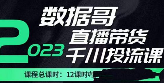数据哥2023直播电商巨量千川付费投流实操课，快速掌握直播带货运营投放策略-86资源库