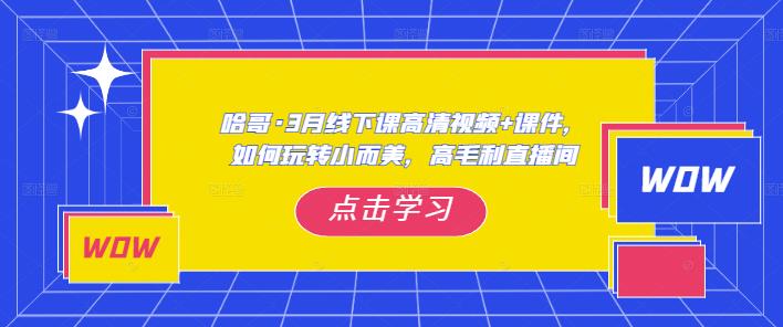 哈哥·3月线下实操课高清视频+课件，如何玩转小而美，高毛利直播间-86资源库