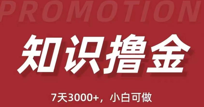 抖音知识撸金项目：简单粗暴日入1000+执行力强当天见收益(教程+资料)-86资源库