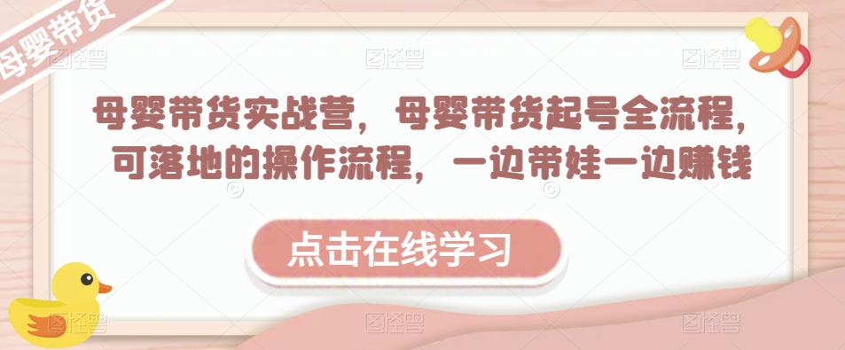 母婴带货实战营，母婴带货起号全流程，可落地的操作流程，一边带娃一边赚钱（附素材）-86资源库