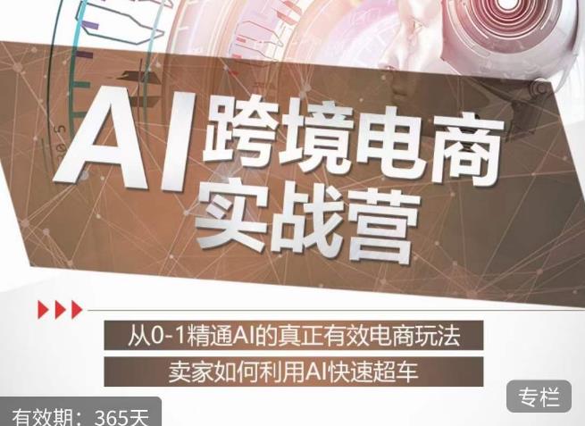 白龙老师·AI跨境电商实战营：从0-1精通Al的真正有效电商玩法，卖家如何利用Al快速超车-86资源库