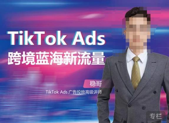 稳哥·如何投出高ROI的TikTok广告，开拓独立站卖家流量新蓝海-86资源库