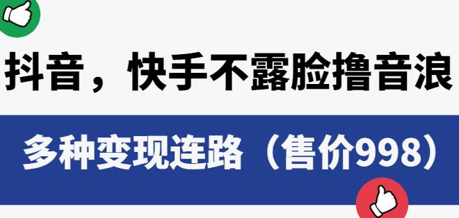 抖音快手不露脸撸音浪项目，多种变现连路（售价998）-86资源库