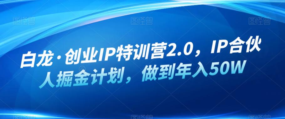 白龙·创业IP特训营2.0，IP合伙人掘金计划，做到年入50W-86资源库