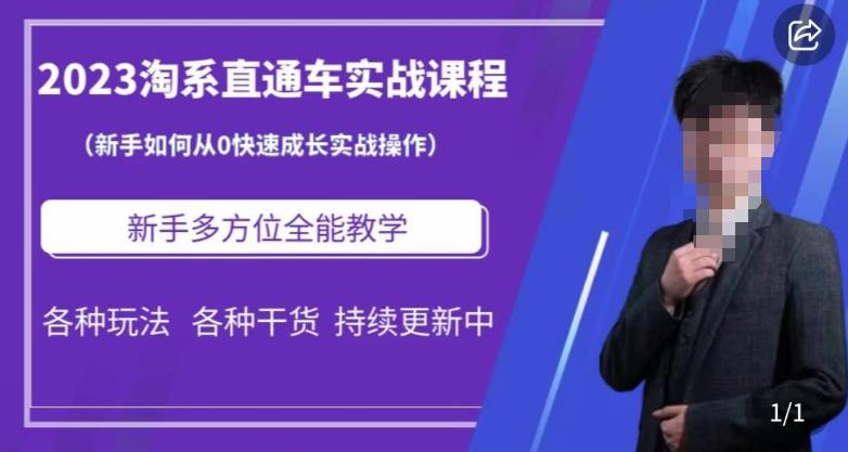 2023淘系直通车保姆式运营讲解，新手如何从0快速成长实战操作，新手多方位全能教学-86资源库
