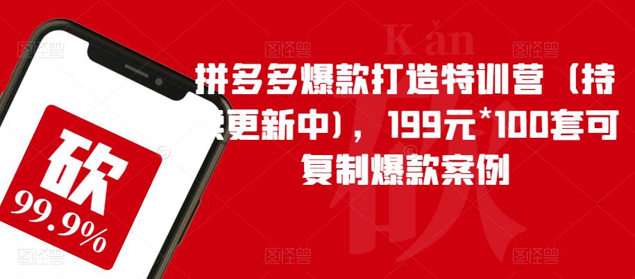 拼多多爆款打造特训营（持续更新中)，199元*100套可复制爆款案例-86资源库