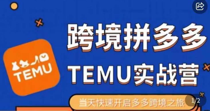 大鹏出海·拼多多跨境temu运营指导，开店注册+选品+核价上架，日出千单实战课-86资源库
