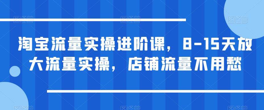 淘宝流量实操进阶课，8-15天放大流量实操，店铺流量不用愁-86资源库