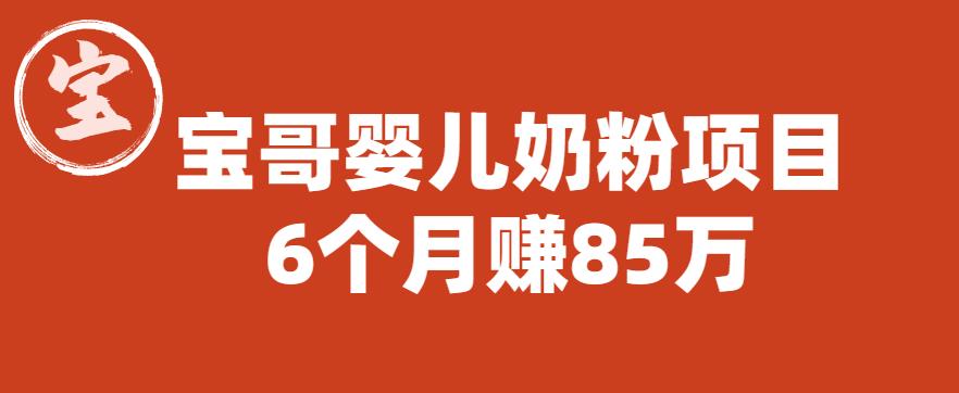 宝哥婴儿奶粉项目，6个月赚85w【图文非视频】【揭秘】-86资源库