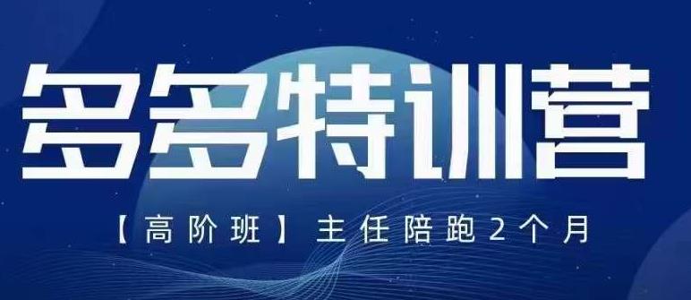 纪主任·5月最新多多特训营高阶班，玩法落地实操，多多全掌握-86资源库