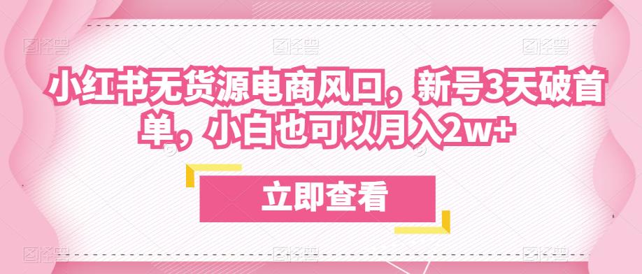 众狼电商余文小红书无货源电商风口，新号3天破首单，小白也可以月入2w+-86资源库