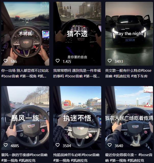 抖音开车视频项目，0基础操作，每天五分钟，月入1W+【揭秘】-86资源库