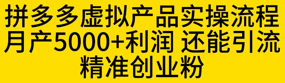 拼多多虚拟产品实操流程，月产5000+利润，还能引流精准创业粉【揭秘】-86资源库