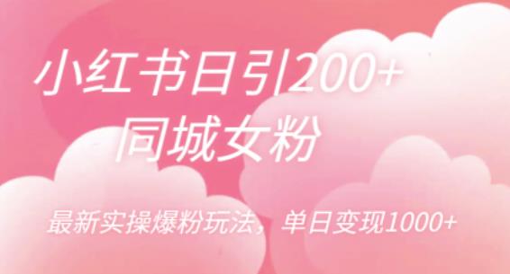小红书日引200+同城女粉，最新实操爆粉玩法，单日变现1000+【揭秘】-86资源库