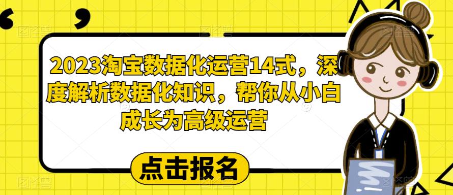 2023淘宝数据化运营14式，深度解析数据化知识，帮你从小白成长为高级运营-86资源库
