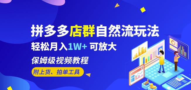 拼多多店群自然流玩法，轻松月入1W+保姆级视频教程（附上货、拍单工具）-86资源库
