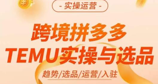 伍跃·跨境拼多多TEMU实操与选品，​趋势/选品/运营/入住（27节完整）-86资源库