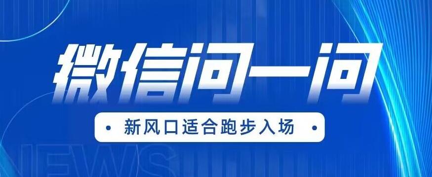 全网首发微信问一问新风口变现项目（价值1999元）【揭秘】-86资源库