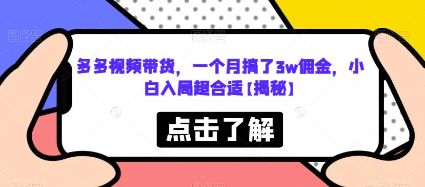 多多视频带货，一个月搞了3w佣金，小白入局超合适【揭秘】-86资源库