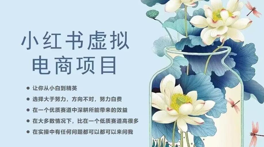小红书虚拟电商从0到1，让你从小白到精英（20节实操课程）-86资源库