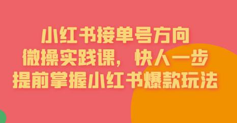 接单号方向·小红书微操实践课，快人一步，提前掌握小红书爆款玩法-86资源库