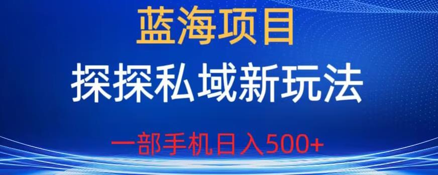 蓝海项目，探探私域新玩法，一部手机日入500+很轻松【揭秘】-86资源库