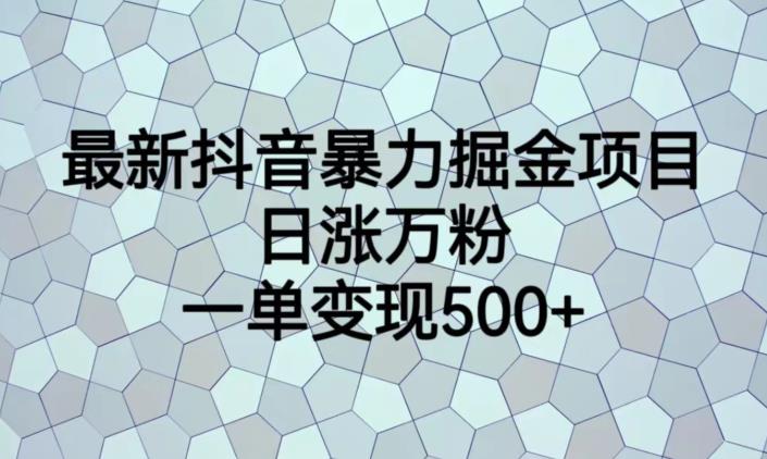 最新抖音暴力掘金项目，日涨万粉，一单变现500+【揭秘】-86资源库