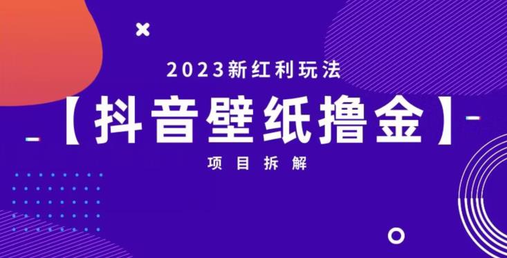 抖音壁纸小程序创作者撸金项目，2023新红利玩法【项目拆解】-86资源库