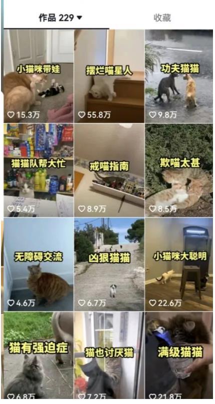 拆解：抖音盘点类中视频变现副业项目，视频版一条龙大解析分享给你-86资源库