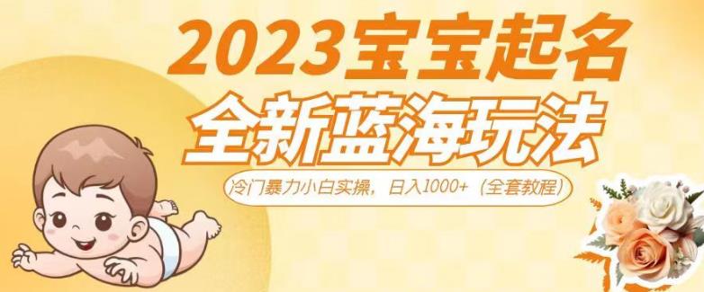 2023宝宝起名全新蓝海玩法，冷门暴力小白实操，日入1000+（全套教程）【揭秘】-86资源库